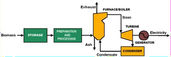 Biomass Electricity Generation Diagram